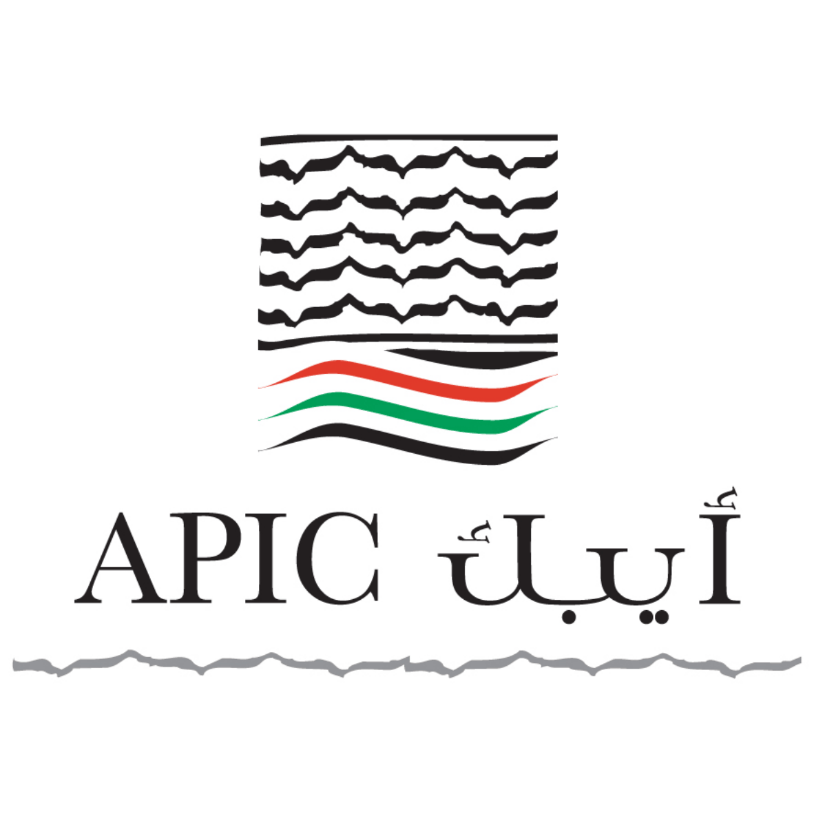 الشركة العربية الفلسطينية للاستثمار
